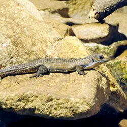 20150403-151919-674-N