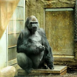 20150403-152515-686-N