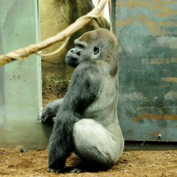 20150403-152708-691-N