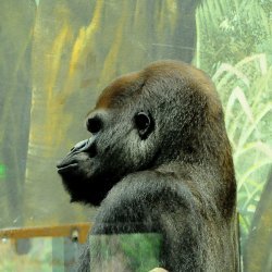 20150403-152806-694-N