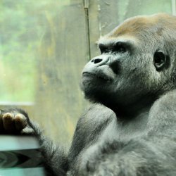 20150403-153138-696-N