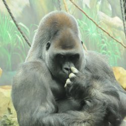 20150403-153507-703-N