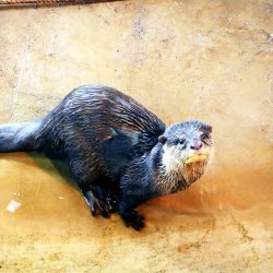 20150403-155048-710-N