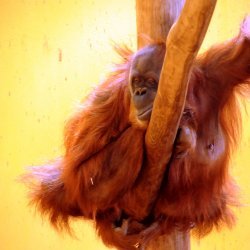 20150403-155102-712-N