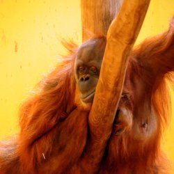 20150403-155105-713-N