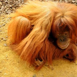 20150403-155118-715-N