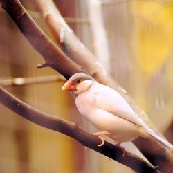 20150403-155823-727-N