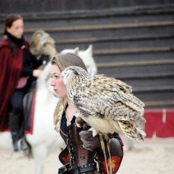 20150403-161620-728-N