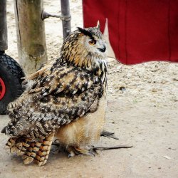 20150403-161633-731-N