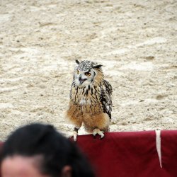 20150403-161644-732-N