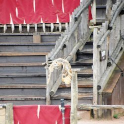 20150403-161746-736-N