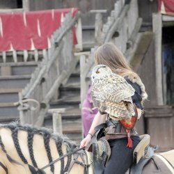 20150403-161810-743-N