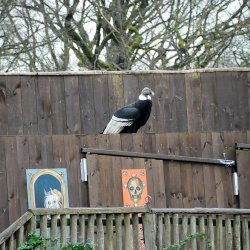 20150403-162218-770-N