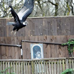 20150403-162220-772-N