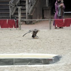 20150403-162307-775-N