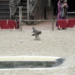 20150403-162307-777-N