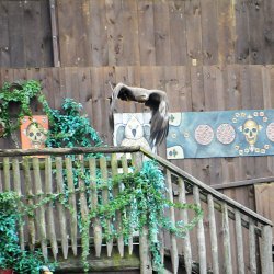 20150403-162550-828-N