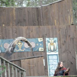 20150403-162551-830-N