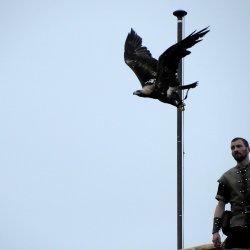 20150403-162801-836-N