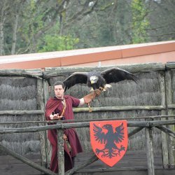 20150403-162853-846-N