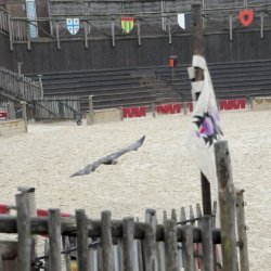 20150403-163057-857-N