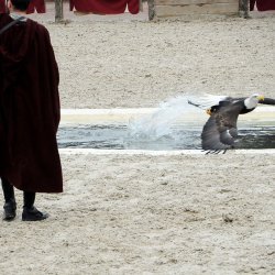 20150403-163216-865-N