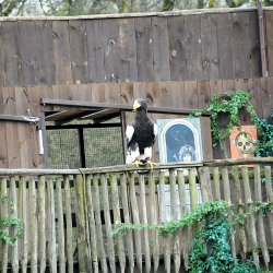 20150403-163319-868-N