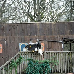 20150403-163330-872-N