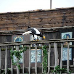 20150403-163437-880-N