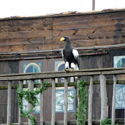 20150403-163457-883-N