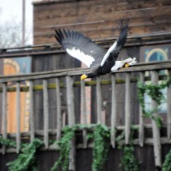 20150403-163509-885-N