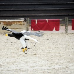 20150403-163513-892-N