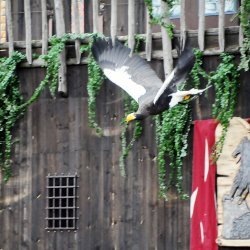 20150403-163851-901-N