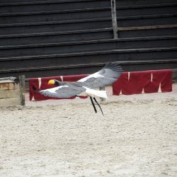 20150403-163854-907-N