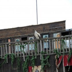 20150403-164427-940-N