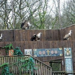 20150403-164432-941-N