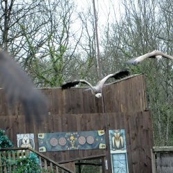 20150403-164440-953-N