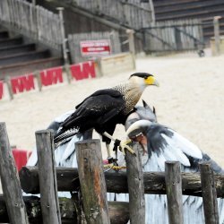 20150403-164613-959-N