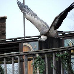 20150403-164816-970-N