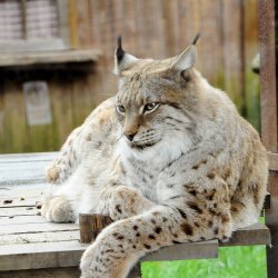 20150403-170132-971-N