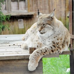 20150403-170135-973-N