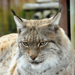 20150403-170143-974-N