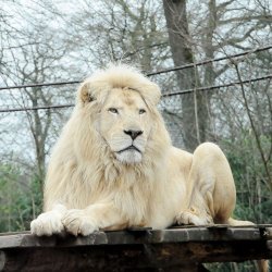 20150403-170601-975-N