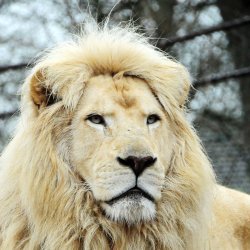 20150403-170611-977-N