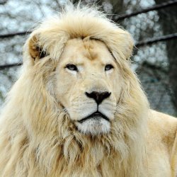 20150403-170615-978-N