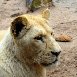 20150403-170630-979-N