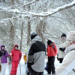 20150224-162019-003-N