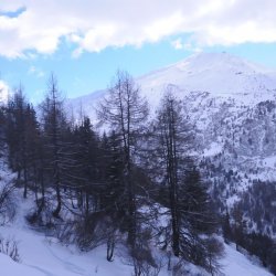 20150225-145437-005-N