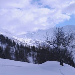 20150225-150620-006-N