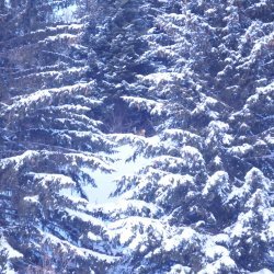 20150225-155350-012-N